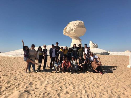 White desert safri camping for 2 days trip pick up from cairo