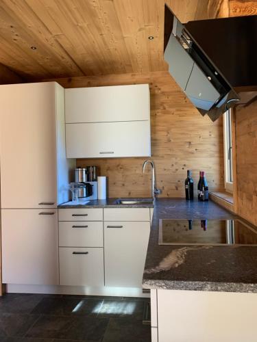 virtuve, Chalet RelaxAlp Garfrescha in Garfrescha