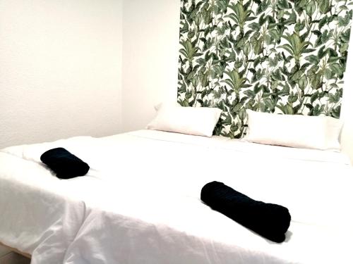  ROOM NEXT TO THE CENTRAL SQUARE in Alicante