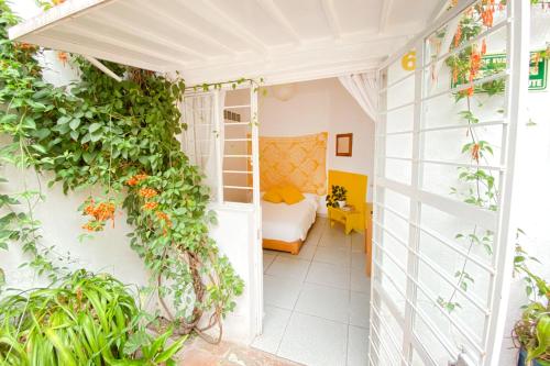 Casa Canario Hostel in Guadalajara