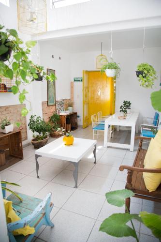 Casa Canario Hostel in Guadalajara, Mexico