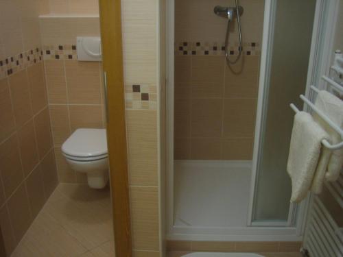 Chata - Apartmán Čistá v Krkonoších, Černý Důl (photo 10)