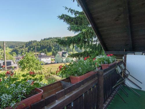 Cosy holiday home with sauna in the Thuringian Forest - Neuhaus am Rennweg