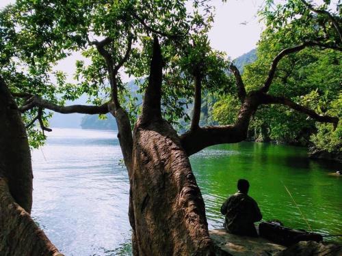 Nha nghi Ho Ba Be TRAN THUC Homestay