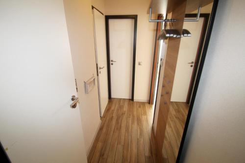 Belvedere 48 - image 5