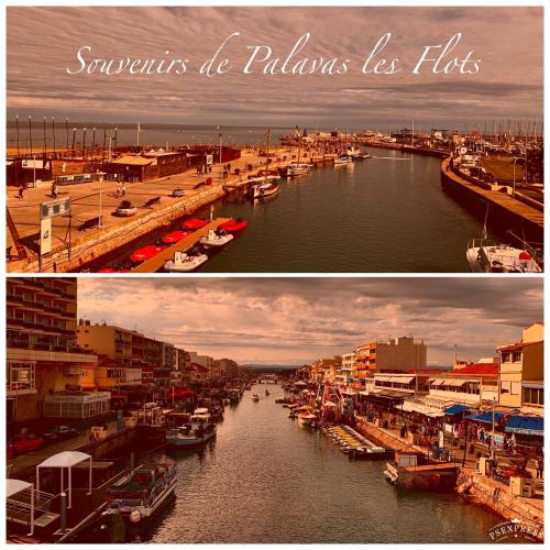 Hotel Le Petit Baigneur Palavas Plage - image 4
