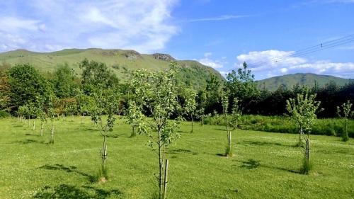 Rabbie Burns Lodge