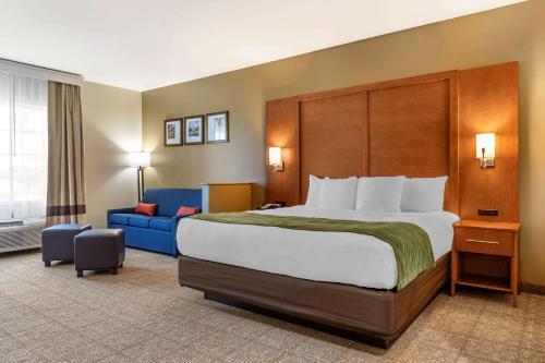 Comfort Inn & Suites Orangeburg - image 8