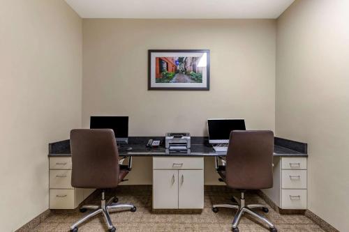Comfort Inn & Suites Orangeburg - image 2