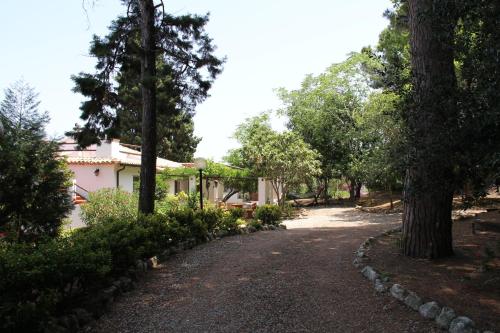 Tenuta Conte Ruggero - image 11