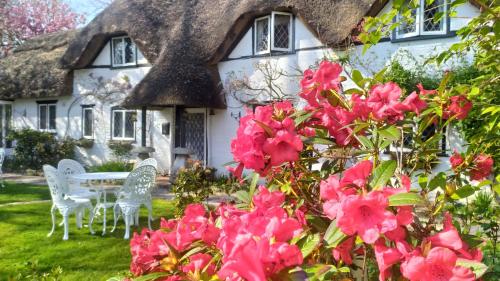 Thatched Eaves