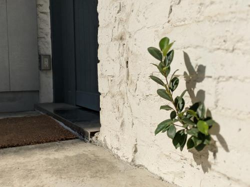 Two-Bedroom Cottage image 10