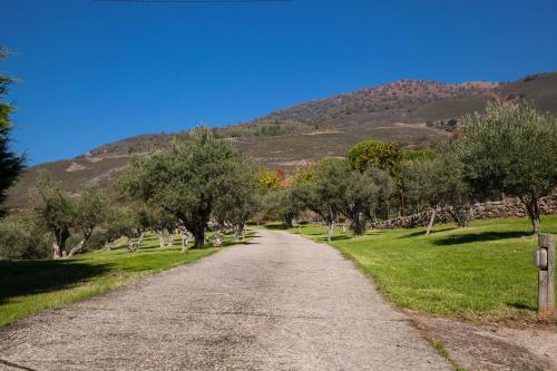 Finca La Sayuela - image 2