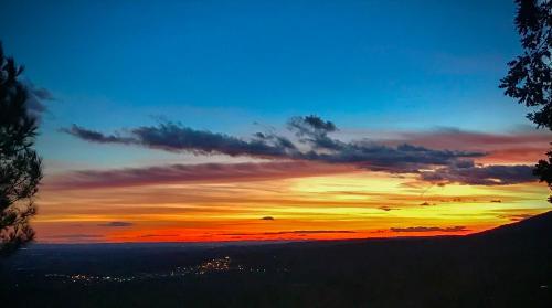 Finca La Sayuela - image 12