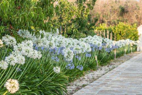 Panacea Residence B&B - image 9