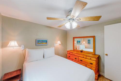 Royal Palm - image 5