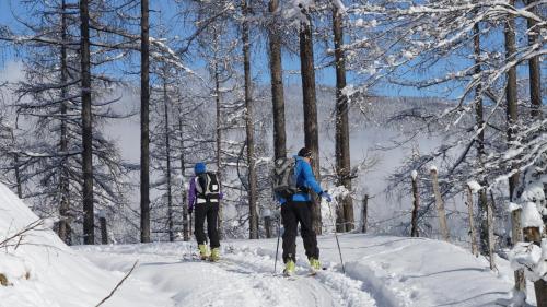 AlpenSportLodge – Altenmarkt, MN