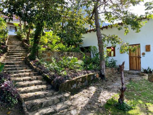 Dārzs, Mundo Nuevo ECO LODGE in Minca
