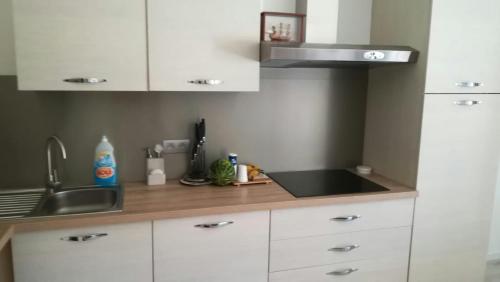 Kitchen, Appartement Terrasse dans Palace Centre ville in Menton