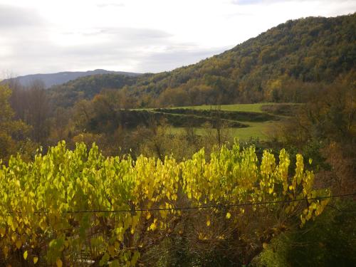  Mas Franch in San Miguel de la Pineda