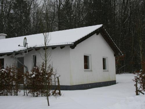 Holiday home Eifelpark 3 - main image