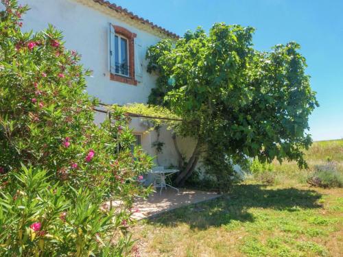 Charming cottage with swimmingpool in a vineyard - image 8