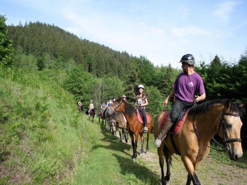 Chalet in Le Thillot with Skiing & Horse Riding Nearby