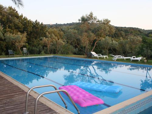 Inviting holiday home in Maida with swimming pool