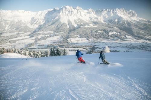 Stöcklalm in Söll, Österreich