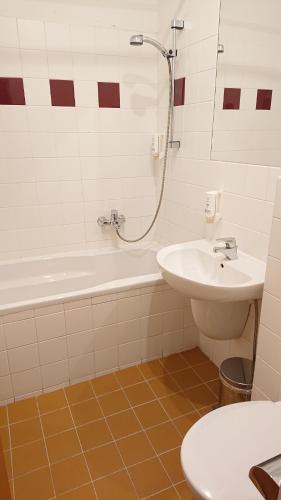 Hotel Čertousy - image 10