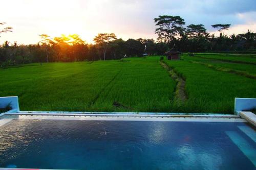 2 BR Villa with open view of rice paddies & sunset