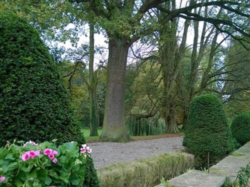 Le Château D'Osthoffen - image 2