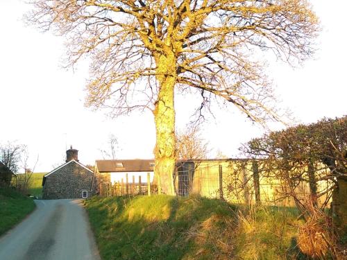 Pant Glas Barn