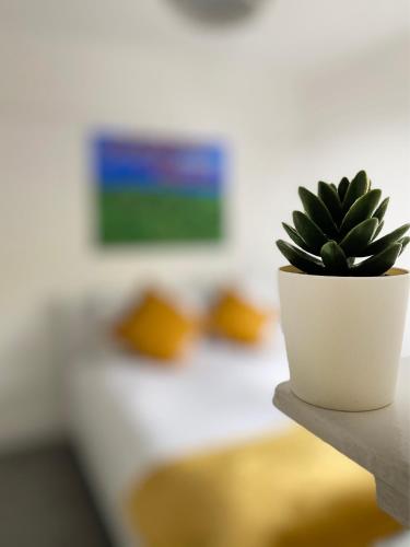 The Baltic Townhouses - image 4