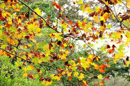 Alta Gracia Parque Hotel