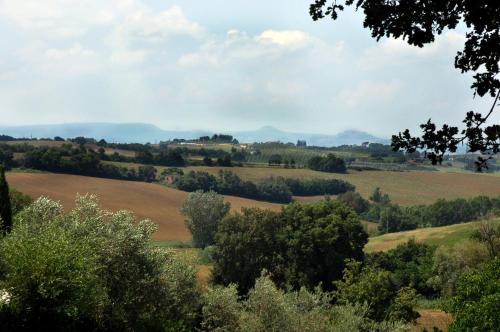 Casale Le Capanne - image 5