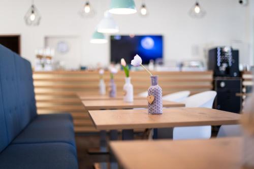 SOVA Guesthouse - image 5