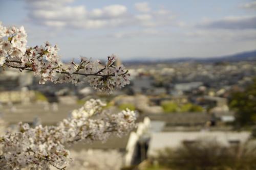 薬水君近江八幡水郷民泊貸し切り