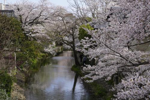 薬水君近江八幡水郷民泊貸し切り