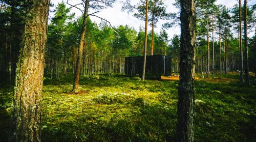 ÖÖD Hötels Rooslepa - FIKA, MYSA , SKÖNT-with sauna