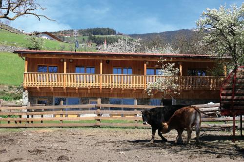 NEUE Ferienwohnungen auf dem Gebreitnerhof, Urlaub auf dem Bauernhof 3