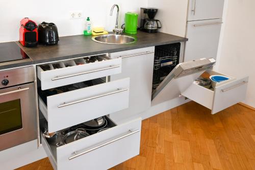 Delightful Suite Hofburg - image 3