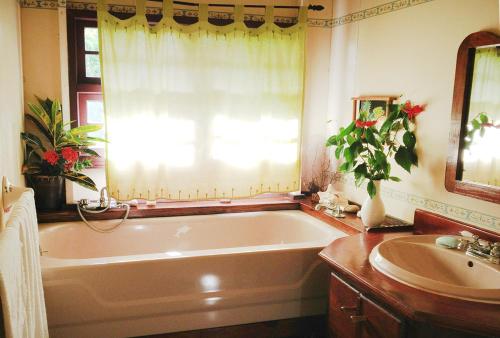 浴室, Creole house 2 bedrooms with garden Best View Rodney Bay 21 in 格羅斯伊斯勒