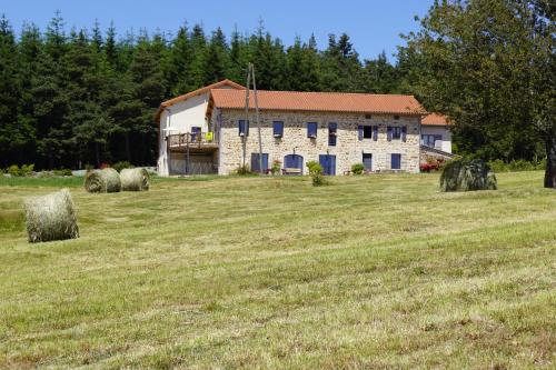 Auberge des Myrtilles 4