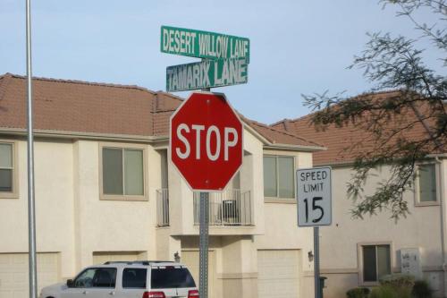 Mesquite Nevada Vacation Rental - Ground Level and double car garage detail