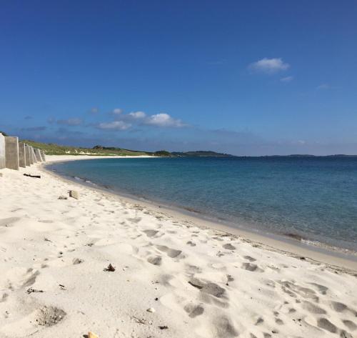 Strand, Appletree in St Mary