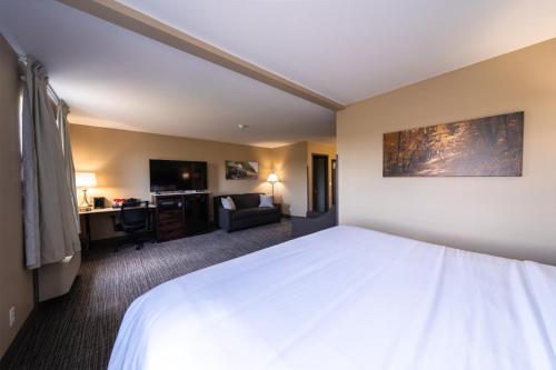 Cobblestone Inn & Suites - Trenton - image 6
