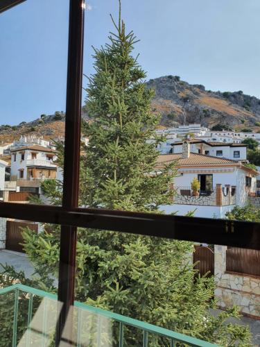 花園, 阿爾塔塞拉利昂鄉村公寓酒店 (Apartamentos Rurales Sierra Alta) in 貝納奧卡茲