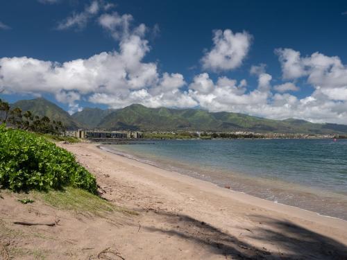 Maui Seaside Hotel