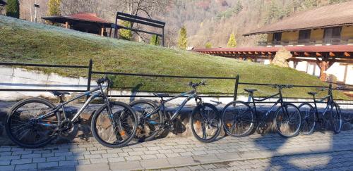 Pensiunea Rau Sadului - image 2